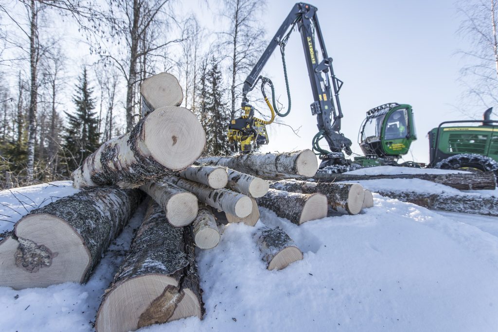 Kilpailutus - Stora Enso Metsä